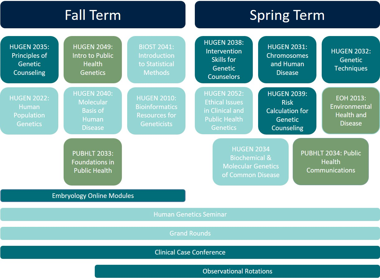 Dual Degree Year 1 Schedule