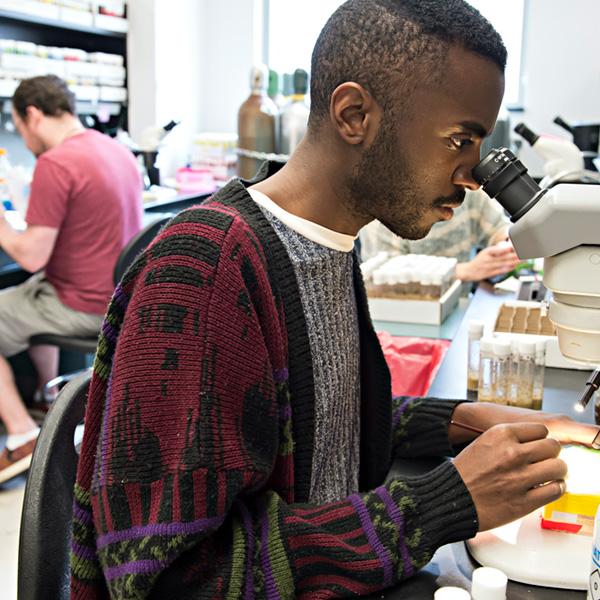 Student looking through microscope