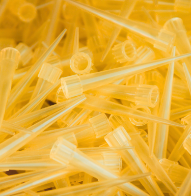 pipette tips