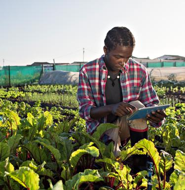 Person in field with notebook