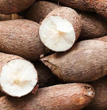 photo of cassava root