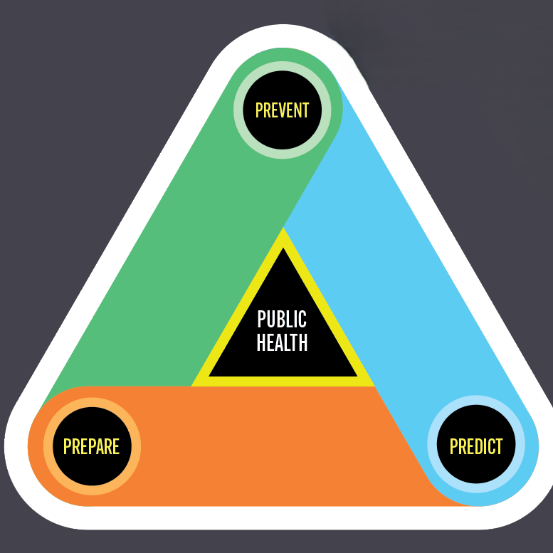 graphic about precision public health