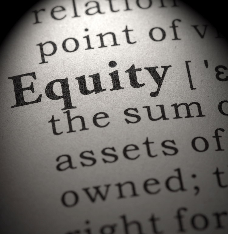 Equity in the dictionary
